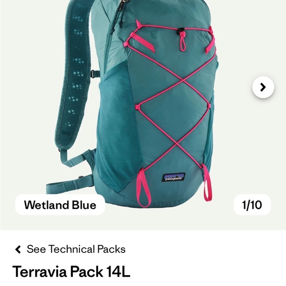 NWT Patagonia Terravia Pack in Blue and Pink - Picture 1 of 4